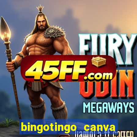 bingotingo canva pro gratis